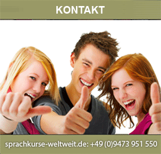 Lingua It Sprachschule